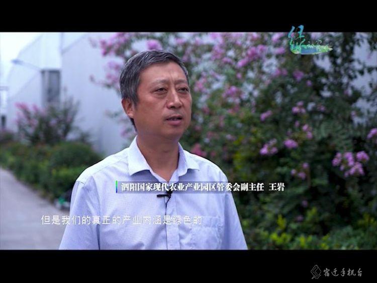 走进平原林海泗阳，一起感受辽阔壮美的泗阳之绿