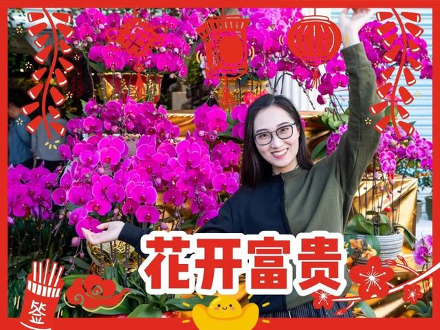 深圳花店有什么花,深圳龙华花店订花送花