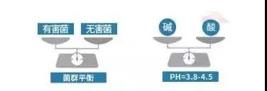 保护秘密花园益生菌,守护秘密花园益生菌