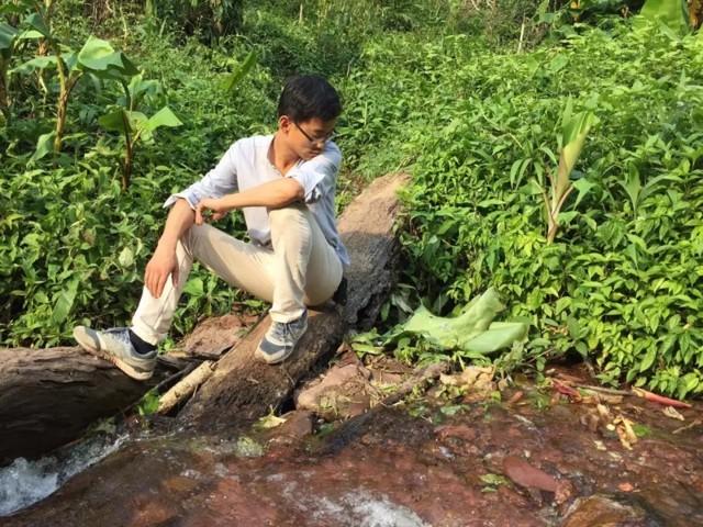 易武茶叶真假怎么分辨,易武茶饼真假鉴别方法