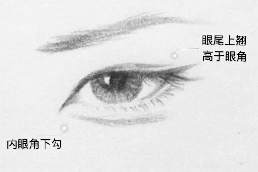 最具东方特色的丹凤眼你了解吗,宝宝天生一对丹凤眼