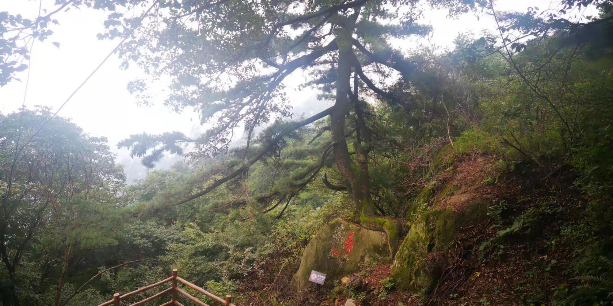 河南尧山风景区游览图片大全集,河南尧山特色风景区有哪些景点