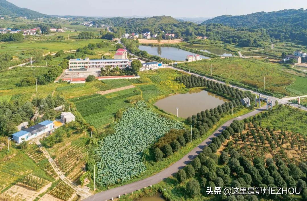 快看，又有顶级合伙人加盟鄂城