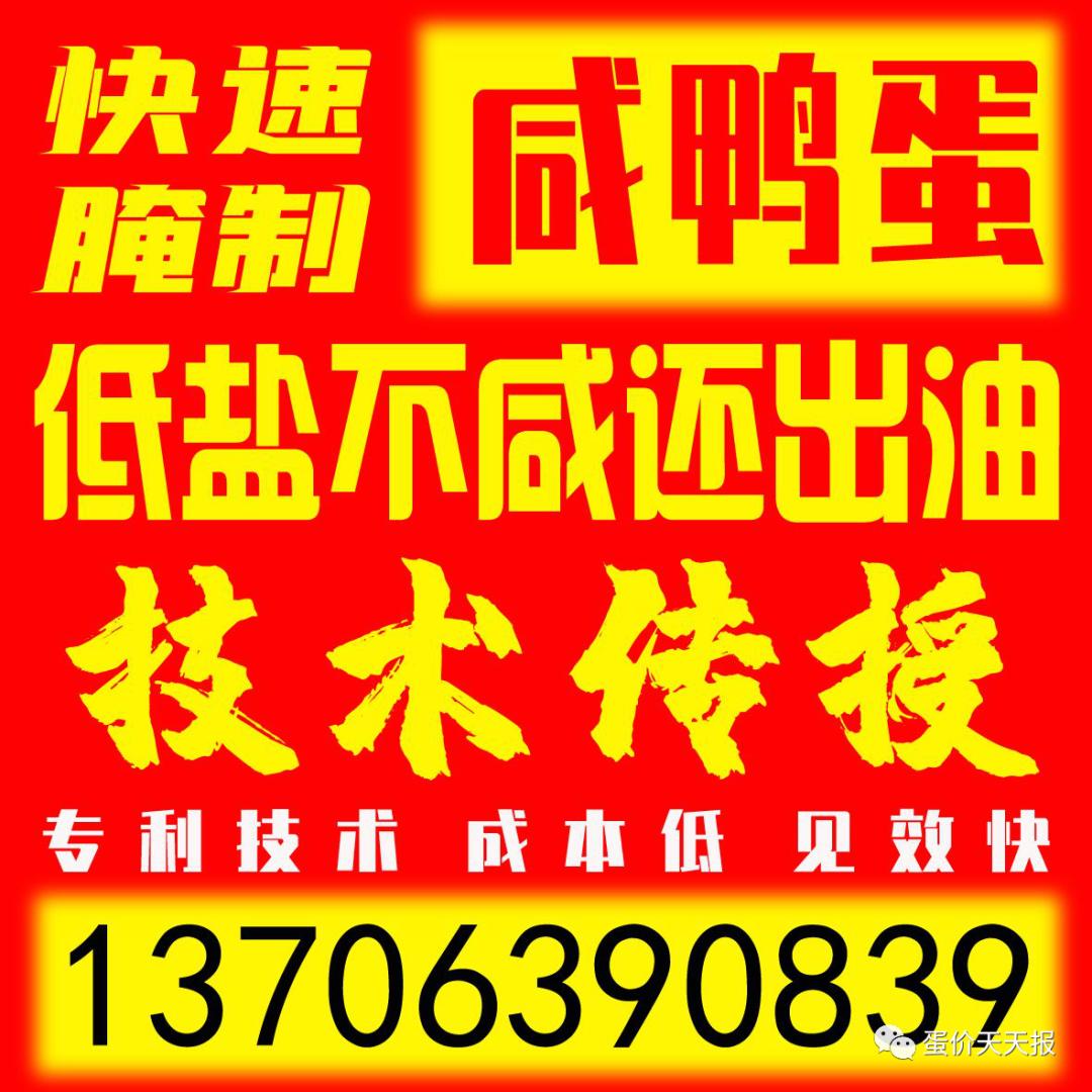 2019年1月24号全国鸭蛋价格,2022年4月12日鸭蛋价