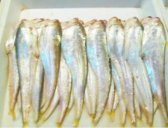 刀鱼从60块钱一斤，跌至3块钱一斤，消费者：再便宜也买不起