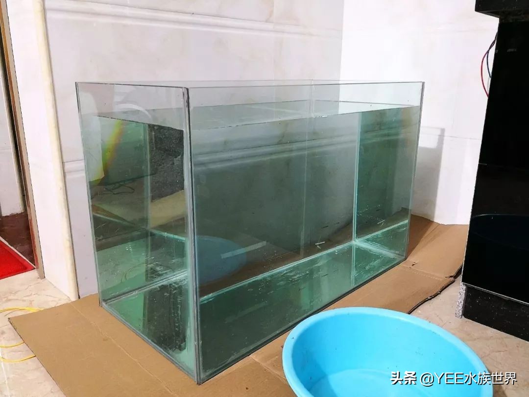 鱼缸专用密封胶是什么,鱼缸胶和玻璃胶有什么区别