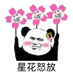 今日份锦鲤好运,今日锦鲤