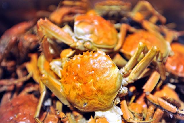 过敏体质的人很困扰？如何摆脱？或可从这四个方面来进行调理