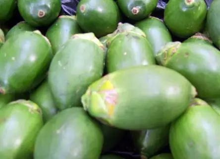 海南必吃十种水果图片名称,海南水果品种大全排名