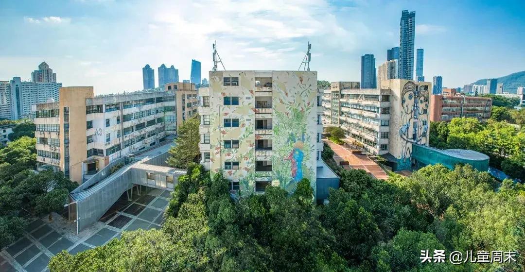 深圳带娃免费旅游推荐,深圳带娃出游景点攻略推荐