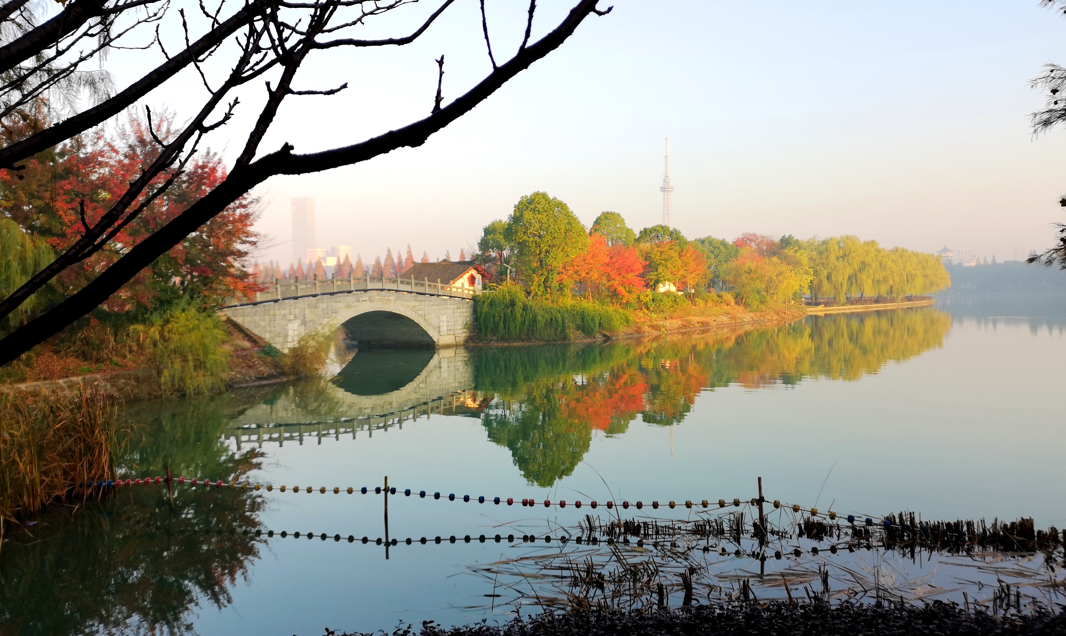 星辰文艺丨王超斌：走过四季，我独爱星城的秋……