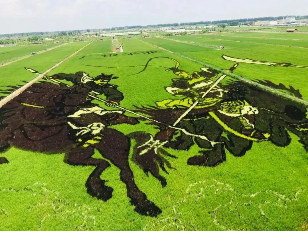 中国用了占世界多少的耕地,我国用占世界百分之几的耕地