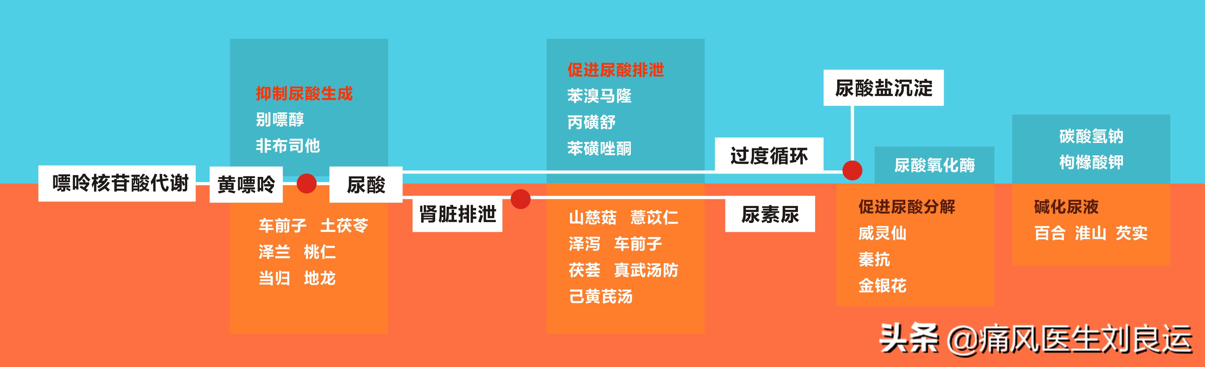 痛风吃什么药好得快又有效,痛风别乱吃药用它改善痛风很好用
