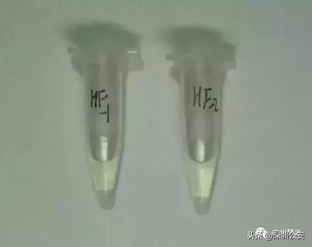 知识点常识大全,知识点大全及注意事项