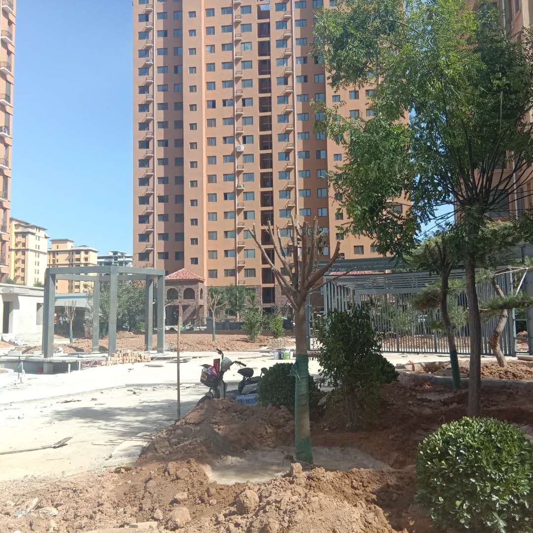 运城美林湾工程进度,运城美林山最新规划图