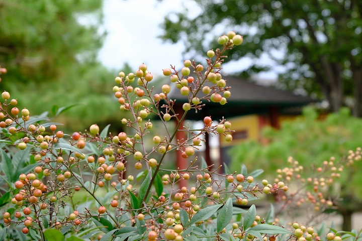 韩国庆州特色旅游景点,韩国庆州旅游攻略