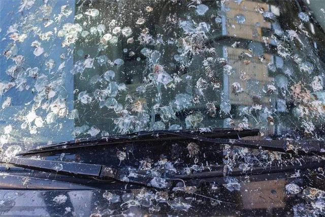 墙上的广告胶怎么除掉没有除胶剂,墙上广告胶怎么清理干净