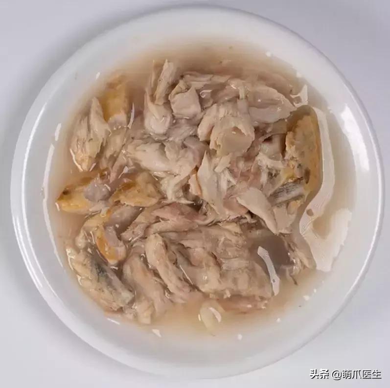 怎样让猫咪喝水才正确,猫咪进厕所喝水