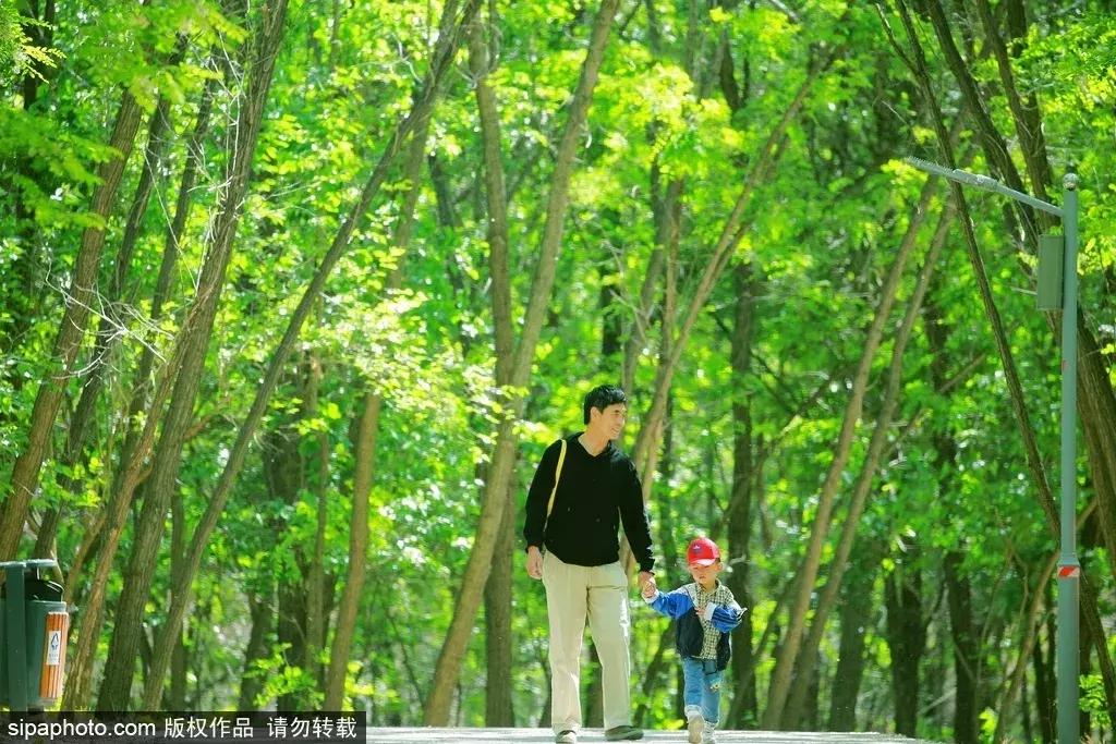 北京周末免费游玩好去处,北京适合周末闲逛的景点