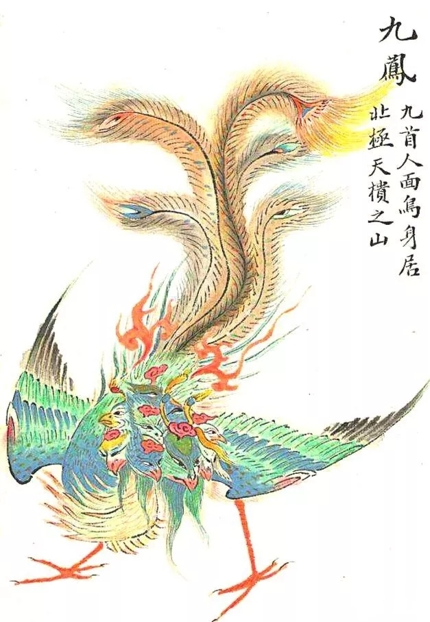 中国九头鸟之谜超出常规的九头鸟,天上九头鸟地上九头鸟来源