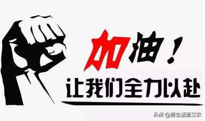 在农村想开店不知道开什么才赚钱,农村开店小生意项目大全