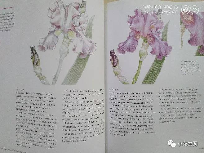 从零开始学绘画简单入门教程,从零开始学绘画必备的画