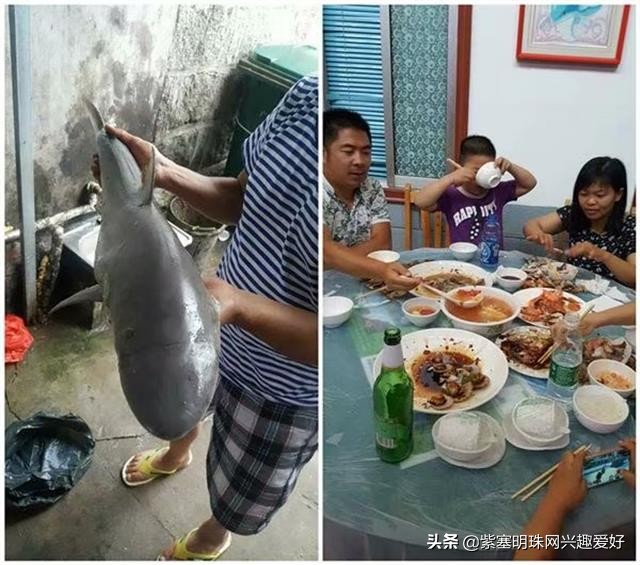 换一个角度享受生活乐趣,日照吴家台渔家乐推荐