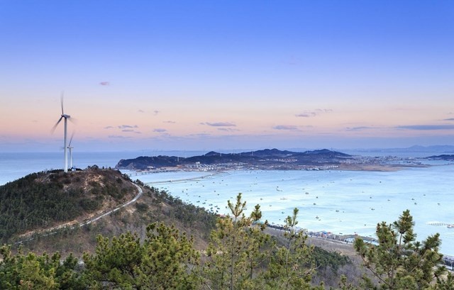 长岛海参和大连海参哪种海参好,长岛海参和大连海参有什么区别