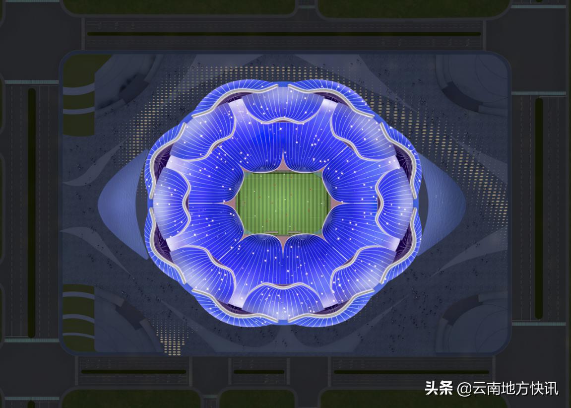 最美荷花争相怒放,最美荷花绽放的整个过程视频