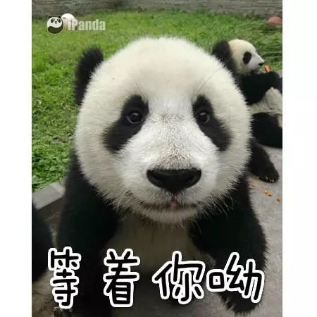 成都双流国际机场飞机事件,最近双流区发生了什么大事