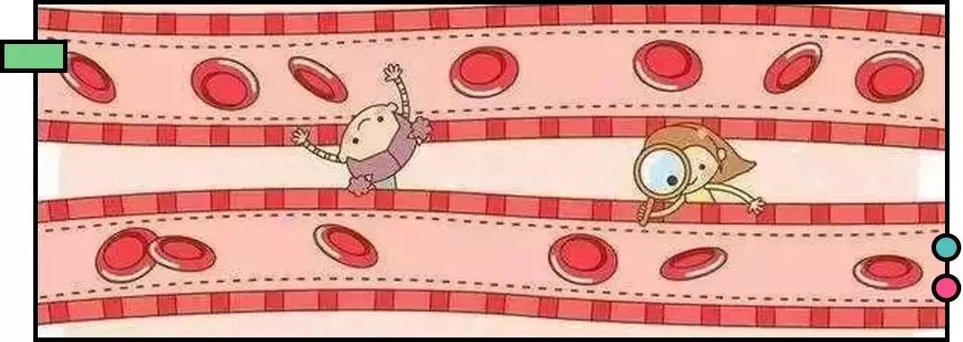 最不值得买的网红单品,永不回购的化妆品有哪些