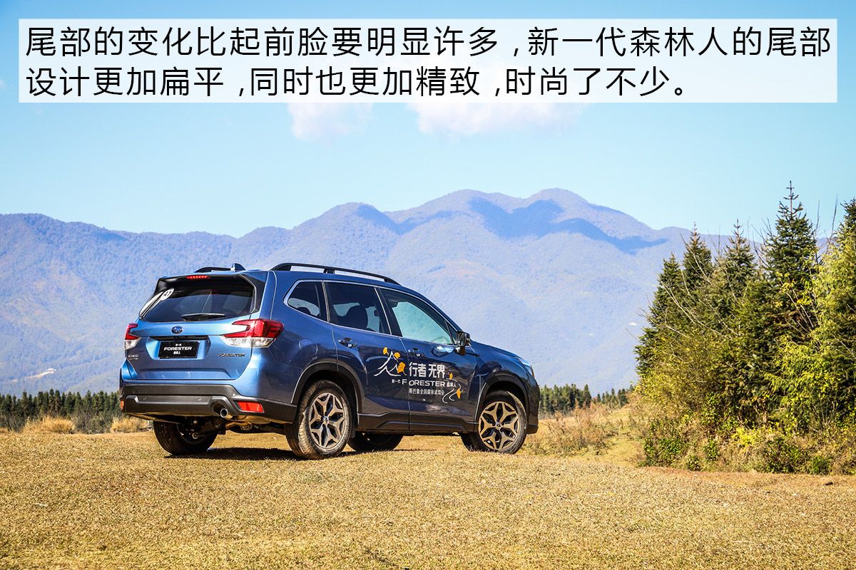 最新款斯巴鲁森林人最新试驾视频,斯巴鲁森林人2023款操控性