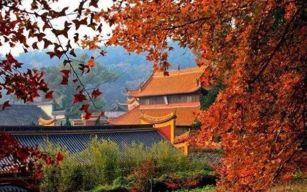 初冬最美诗词赏析,八首冬至诗词让你邂逅最美冬天