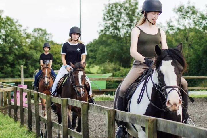 英国谢伯恩学校录取通知书,英国谢伯恩女子学校