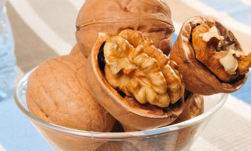 狗狗超喜欢的几种食物其实有剧毒,狗狗喜欢吃的宠物零食