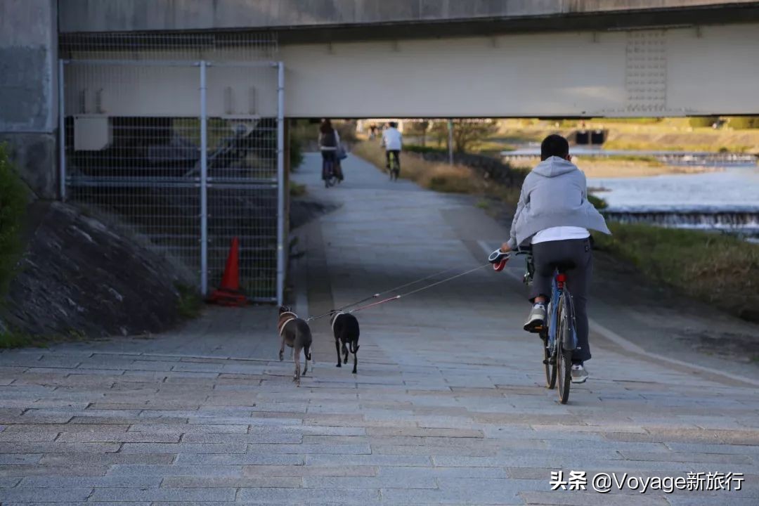 如果一生只能去一次北海道,如果一生只能去一次甘南