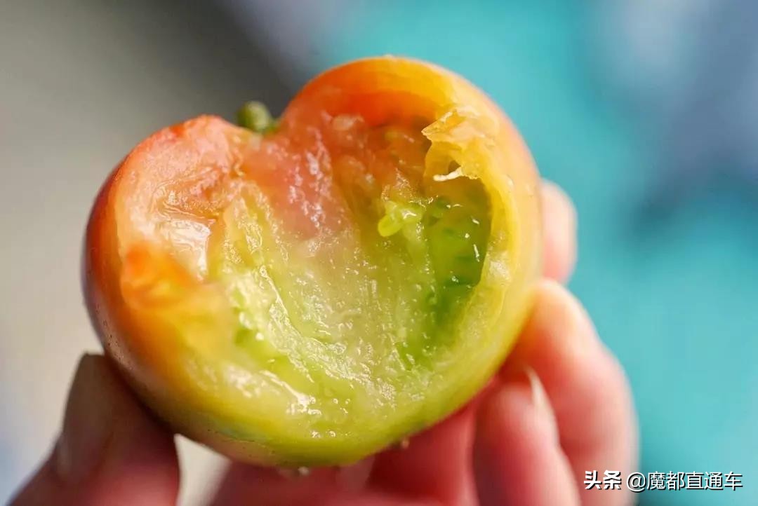 2019，在最好的时间，挑最好的地点，吃最好的食物！