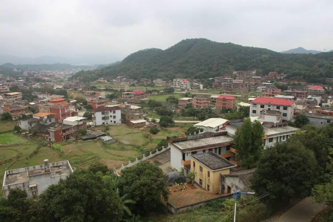 绂忓缓鍗楀畨鐮佸ご闀囧垬鏋楁潙,绂忓缓鍗楀畨姊呭北闀囧垬鏋楁潙