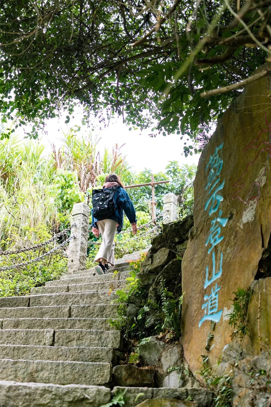 深圳3号线有哪些可以玩的,深圳7号线攻略