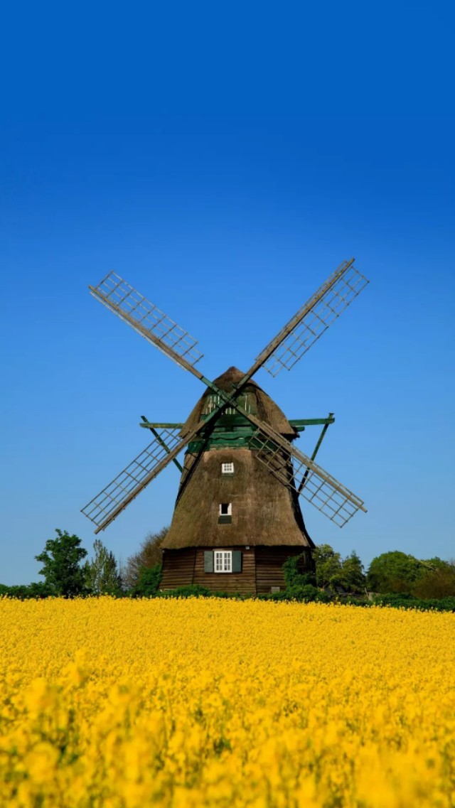 风车壁纸动态壁纸高清全屏90帧,努力赚钱吧手机壁纸图