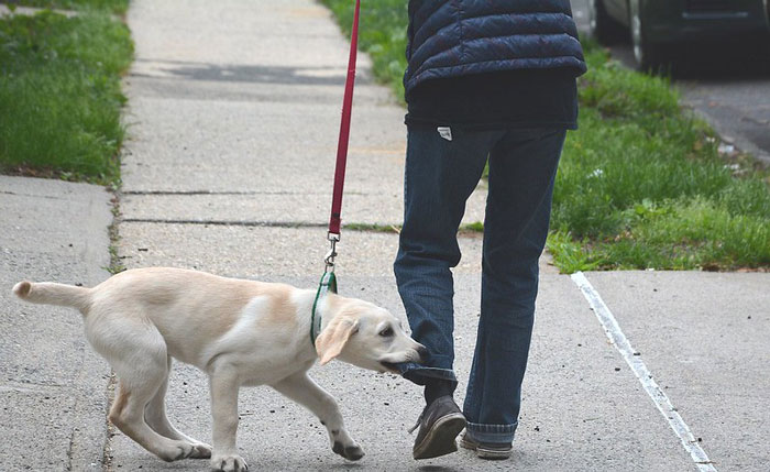 歪果网友分享自己暂时逃避现实的方法,压力大时可以试试了