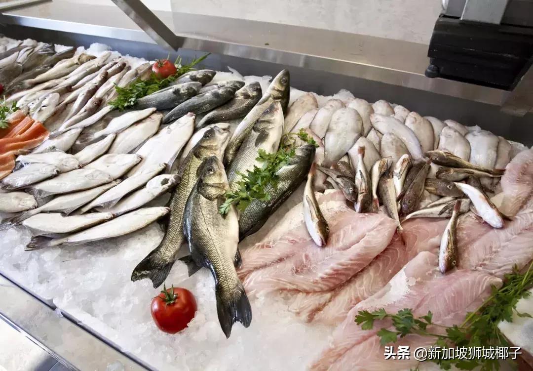 新加坡的生活知识,新加坡必备知识