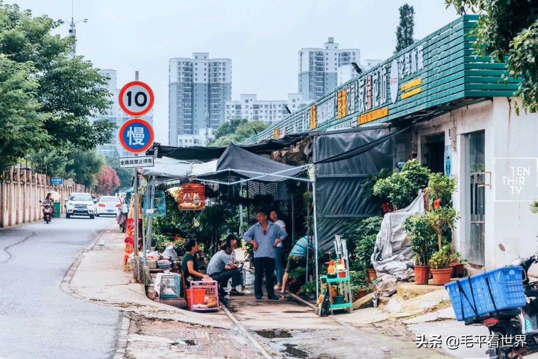 要想真正了解武汉，必须先了解汉阳