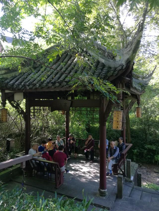 带着93岁老母亲旅行,抬着90多岁的老母亲上山旅游