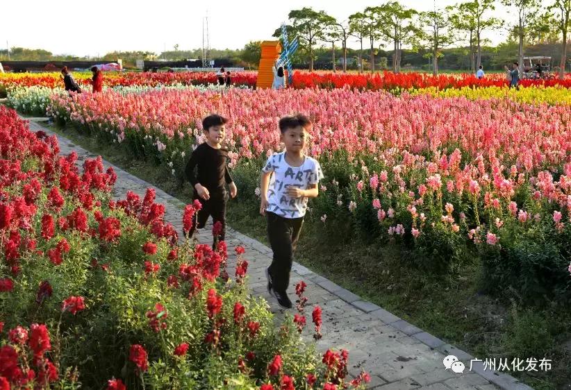 新鲜出炉！从化这两个地方入选“广东最美田园”！