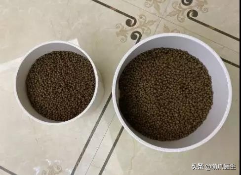 go猫粮吃了会黑下巴吗,go猫粮吃了拉黄水