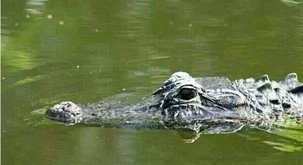 10个让人震惊的冷知识,最有趣的10条冷知识点