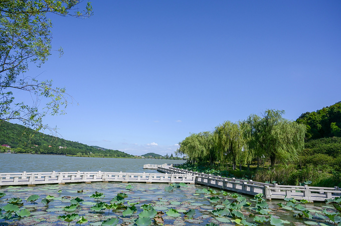 中秋嘉兴玩的地方推荐,八月嘉兴