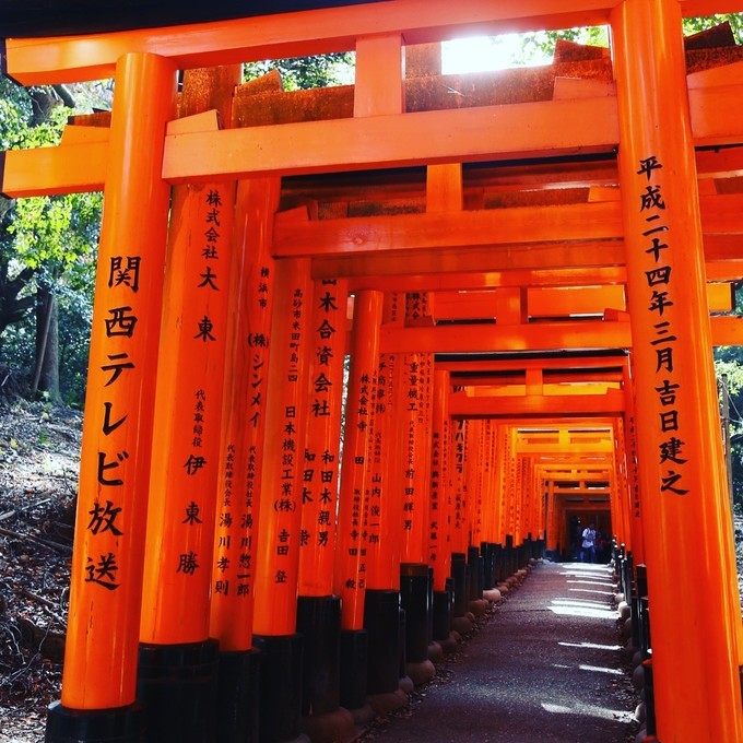 日本京都枫叶季旅游攻略,日本关西赏枫旅游攻略