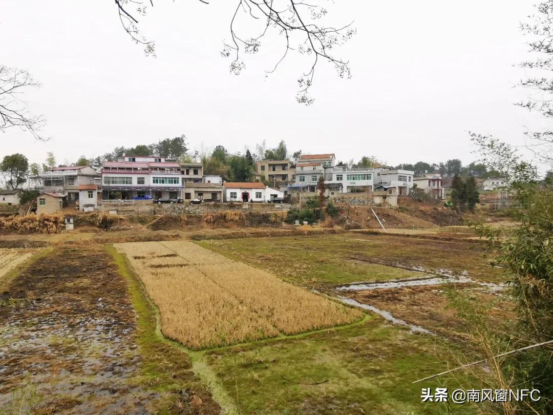 隔离日记农村,湖北农村隔离视频大全